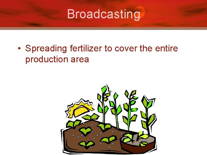 Broadcasting • Spreading fertilizer to cover the entire production area 