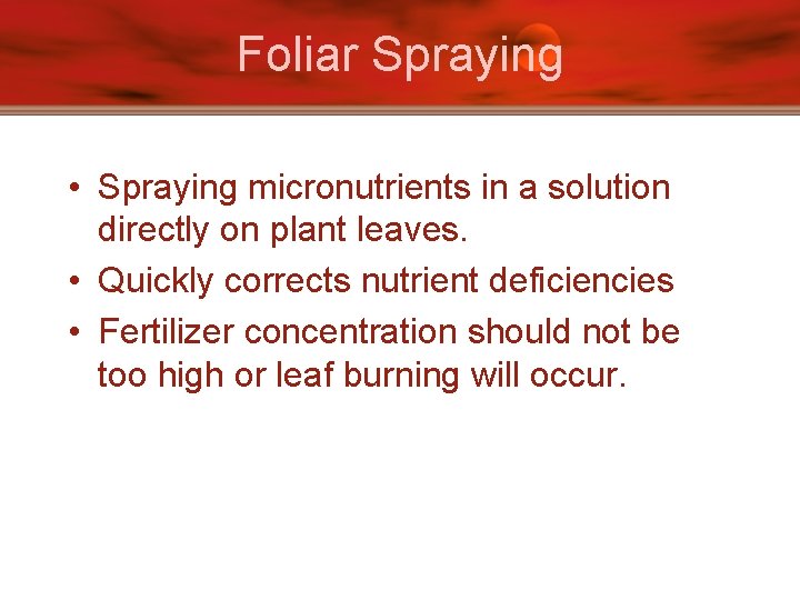 Foliar Spraying • Spraying micronutrients in a solution directly on plant leaves. • Quickly
