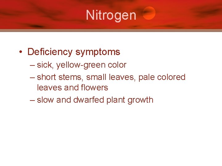 Nitrogen • Deficiency symptoms – sick, yellow-green color – short stems, small leaves, pale