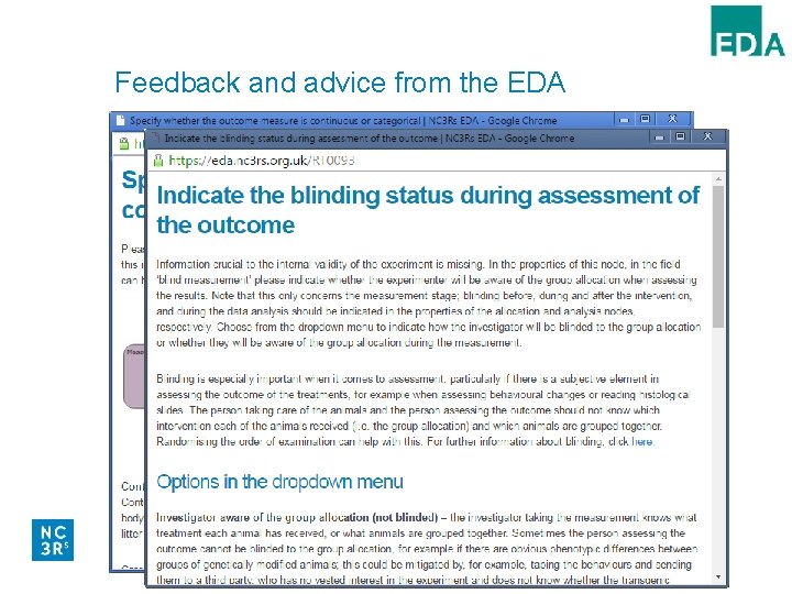Feedback and advice from the EDA § Dataset of rules triggers prompts based on