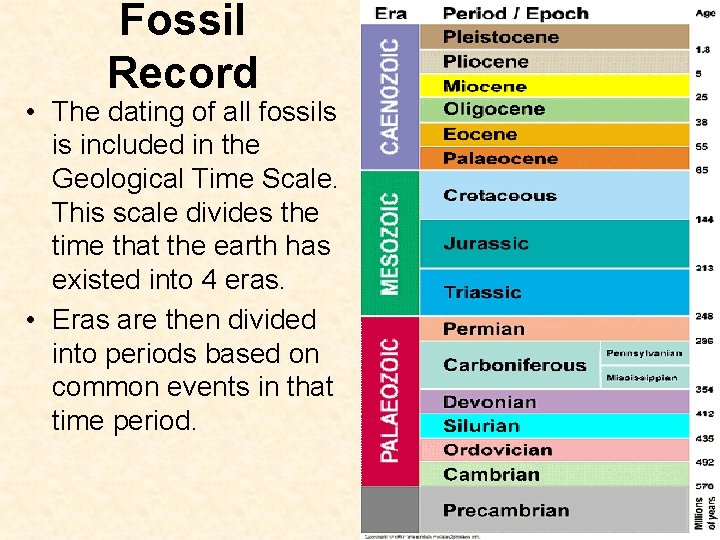 Fossil Record • The dating of all fossils is included in the Geological Time Fossil Record • The dating of all fossils is included in the Geological Time