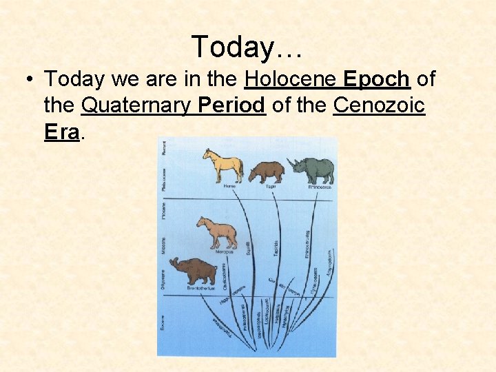 Today… • Today we are in the Holocene Epoch of the Quaternary Period of Today… • Today we are in the Holocene Epoch of the Quaternary Period of