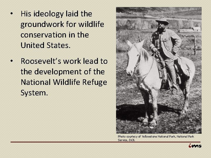  • His ideology laid the groundwork for wildlife conservation in the United States.