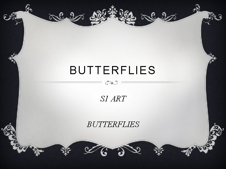 BUTTERFLIES S 1 ART BUTTERFLIES 