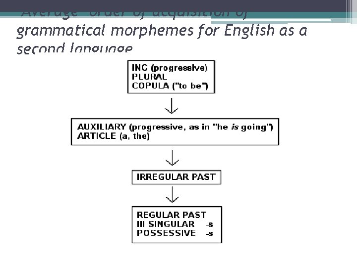 "Average" order of acquisition of grammatical morphemes for English as a second language 