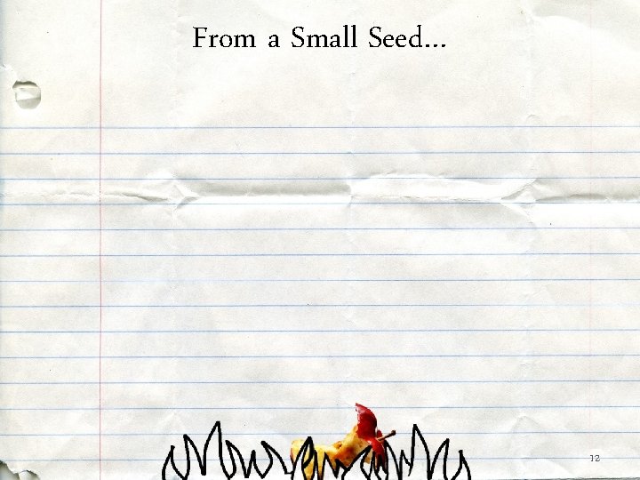 From a Small Seed… 12 From a Small Seed… 12
