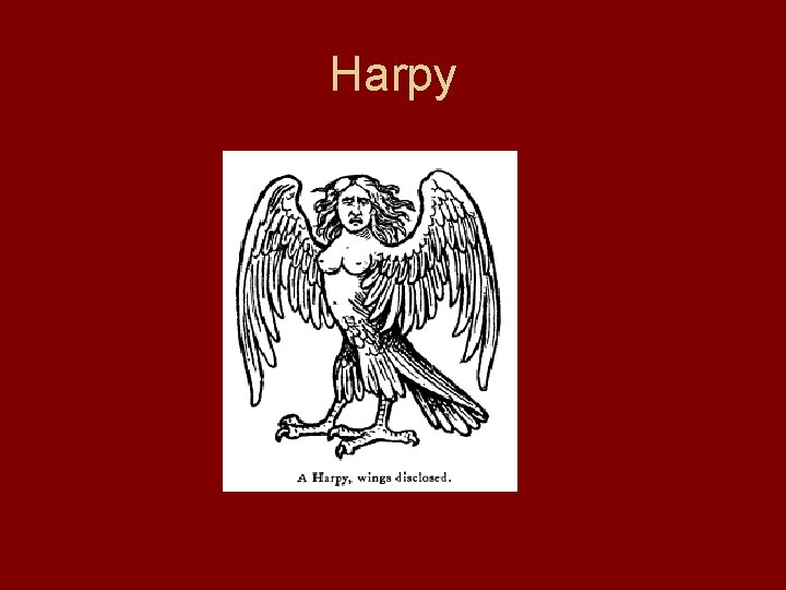 Harpy Harpy