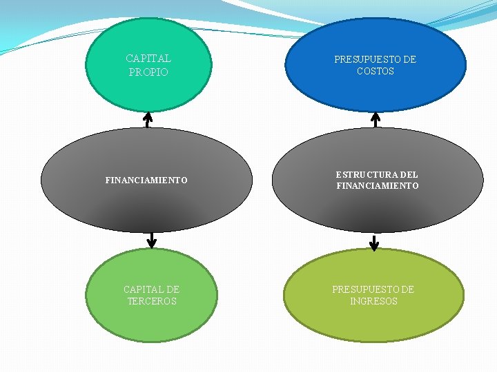 CAPITAL PROPIO FINANCIAMIENTO CAPITAL DE TERCEROS PRESUPUESTO DE COSTOS ESTRUCTURA DEL FINANCIAMIENTO PRESUPUESTO DE