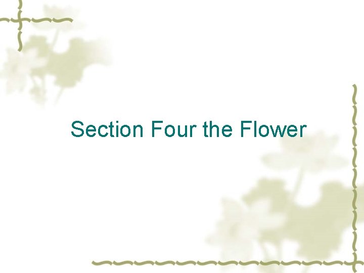 Section Four the Flower 