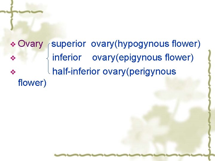 v Ovary v v flower) superior ovary(hypogynous flower) inferior ovary(epigynous flower) half-inferior ovary(perigynous 