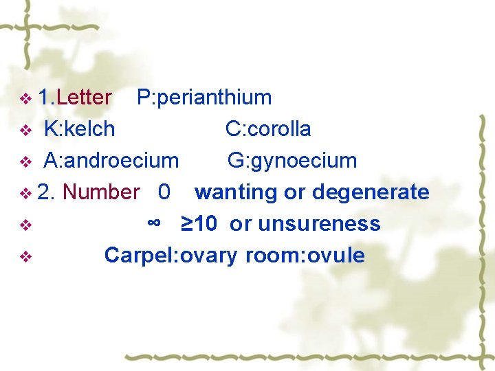 v 1. Letter P: perianthium v K: kelch C: corolla v A: androecium G: