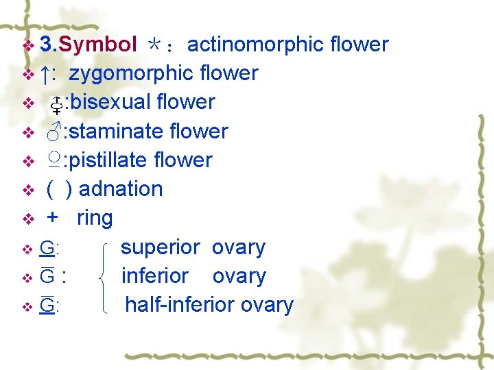 v 3. Symbol ＊：actinomorphic flower v ↑: zygomorphic flower v : bisexual flower v