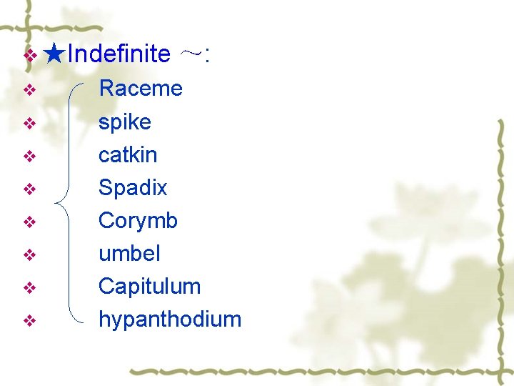 v ★Indefinite v v v v ～: Raceme spike catkin Spadix Corymb umbel Capitulum