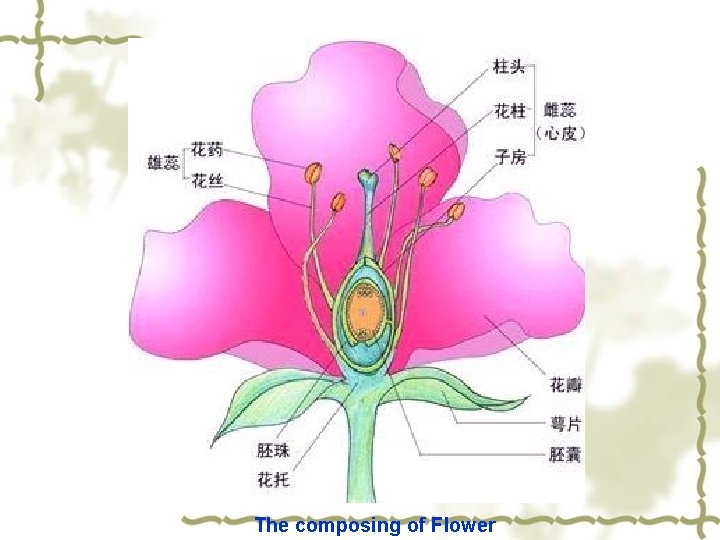 The composing of Flower 