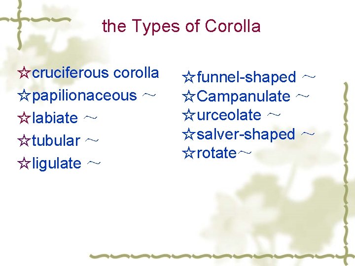 the Types of Corolla ☆cruciferous corolla ☆papilionaceous ～ ☆labiate ～ ☆tubular ～ ☆ligulate ～