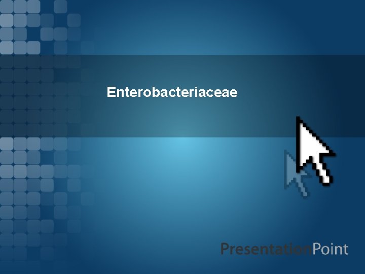 Enterobacteriaceae 