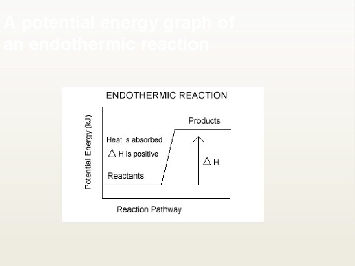 A potential energy graph of an endothermic reaction 