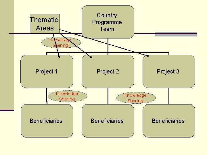 Thematic Areas Country Programme Team Knowledge Sharing Project 1 Project 2 Knowledge Sharing Beneficiaries