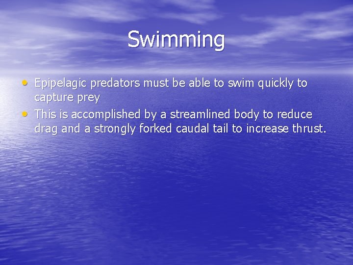 Swimming • Epipelagic predators must be able to swim quickly to • capture prey