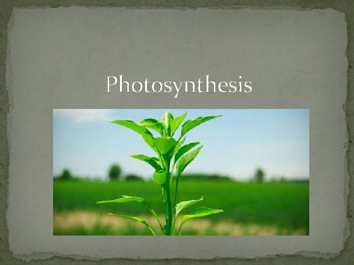 Photosynthesis 