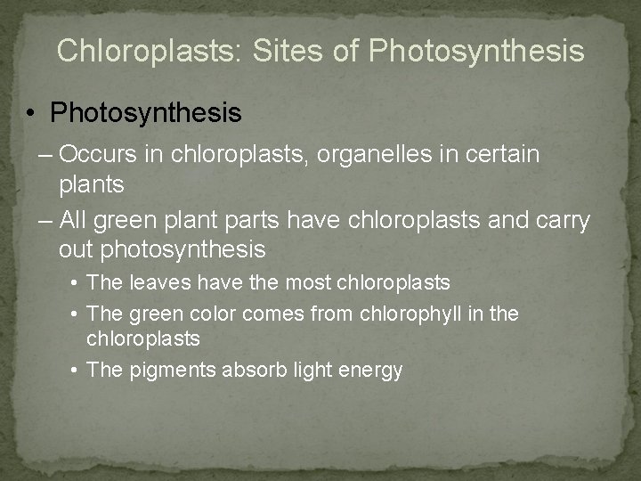 Chloroplasts: Sites of Photosynthesis • Photosynthesis – Occurs in chloroplasts, organelles in certain plants