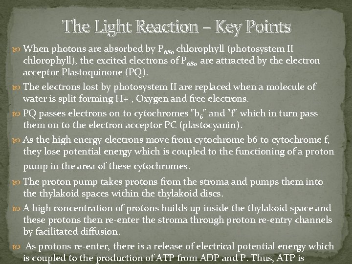 The Light Reaction – Key Points When photons are absorbed by P 680 chlorophyll