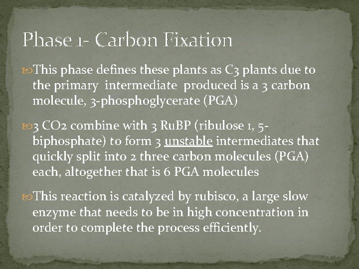 Phase 1 - Carbon Fixation This phase defines these plants as C 3 plants