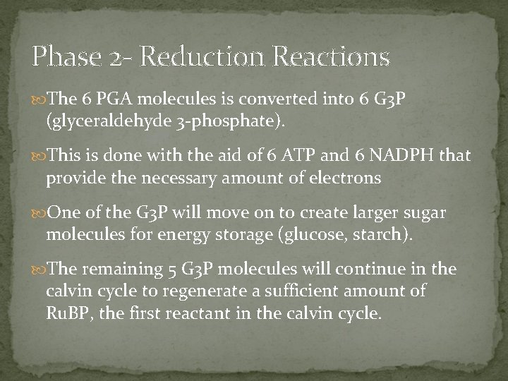 Phase 2 - Reduction Reactions The 6 PGA molecules is converted into 6 G