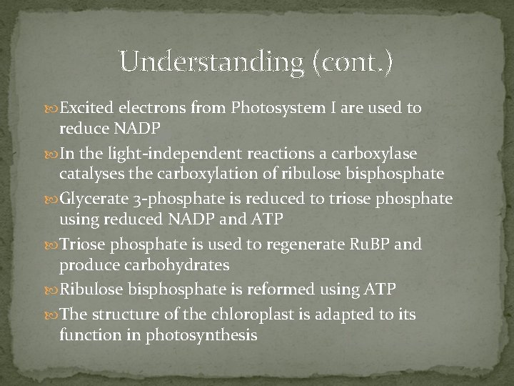 Understanding (cont. ) Excited electrons from Photosystem I are used to reduce NADP In