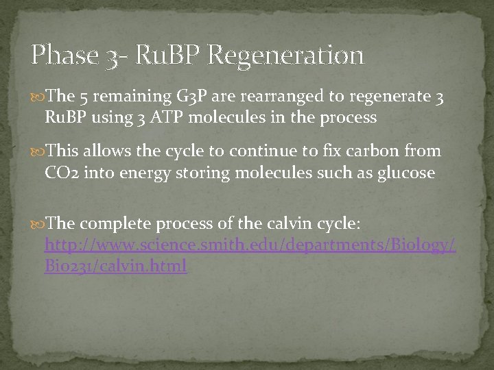 Phase 3 - Ru. BP Regeneration The 5 remaining G 3 P are rearranged