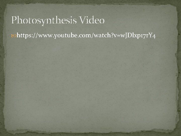 Photosynthesis Video https: //www. youtube. com/watch? v=w. JDlxp 17 r. Y 4 