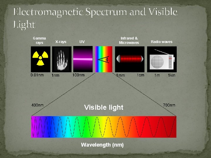 Electromagnetic Spectrum and Visible Light Gamma rays X-rays UV Infrared & Microwaves Visible light