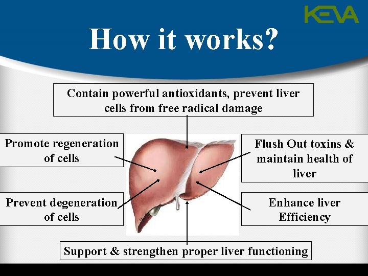 How it works? Contain powerful antioxidants, prevent liver cells from free radical damage Promote