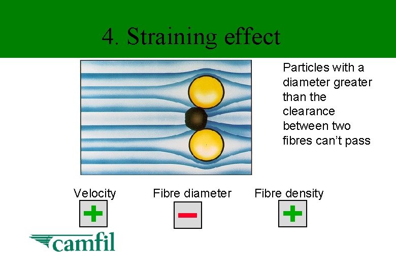 4. Straining effect Particles with a diameter greater than the clearance between two fibres