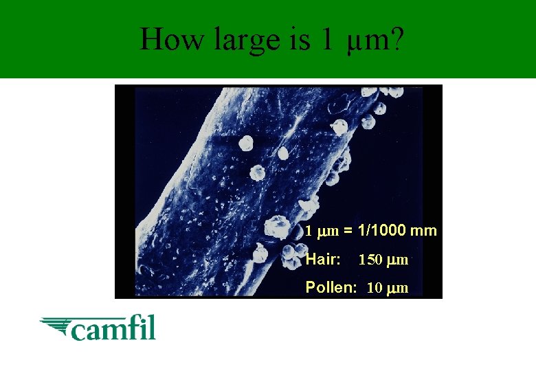 How large is 1 µm? 1 m = 1/1000 mm Hair: 150 m Pollen: