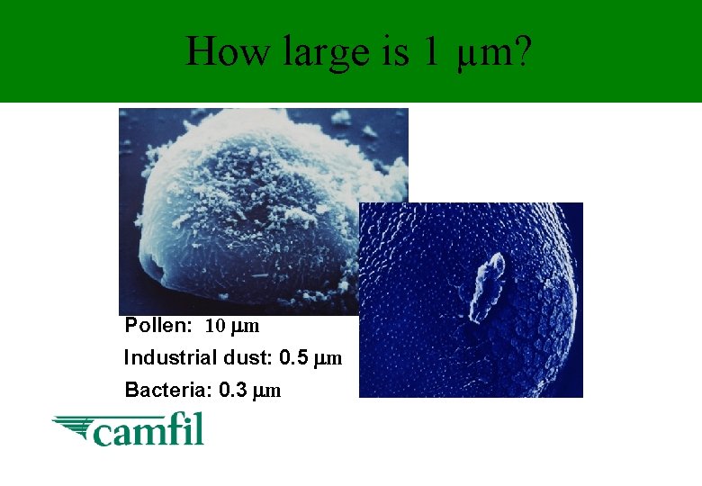 How large is 1 µm? Pollen: 10 m Industrial dust: 0. 5 m Bacteria: