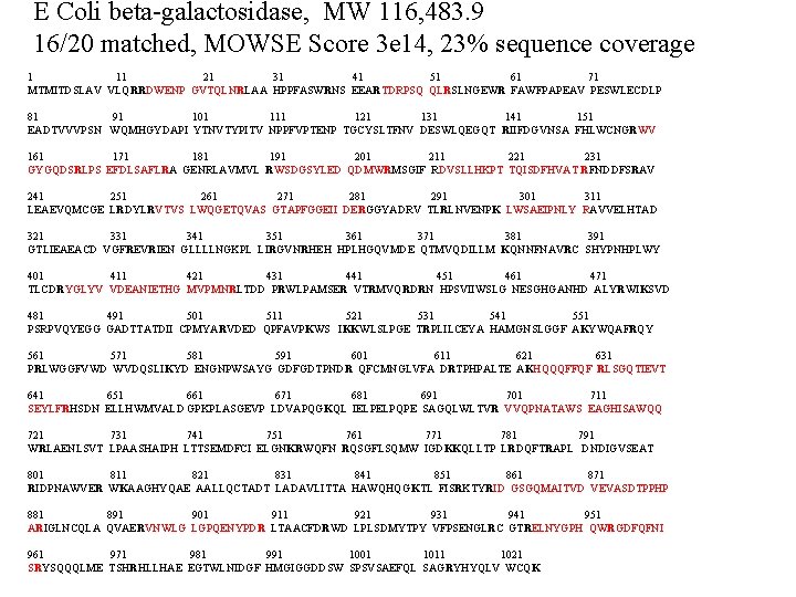 E Coli beta-galactosidase, MW 116, 483. 9 16/20 matched, MOWSE Score 3 e 14,