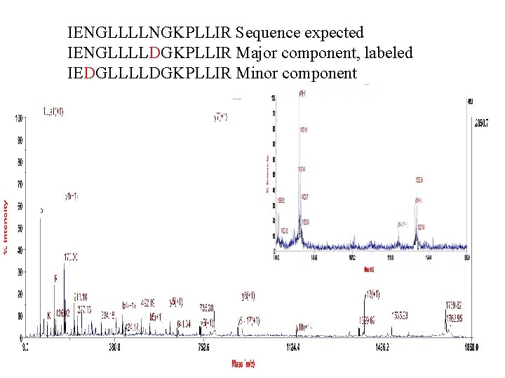 IENGLLLLNGKPLLIR Sequence expected IENGLLLLDGKPLLIR Major component, labeled IEDGLLLLDGKPLLIR Minor component 