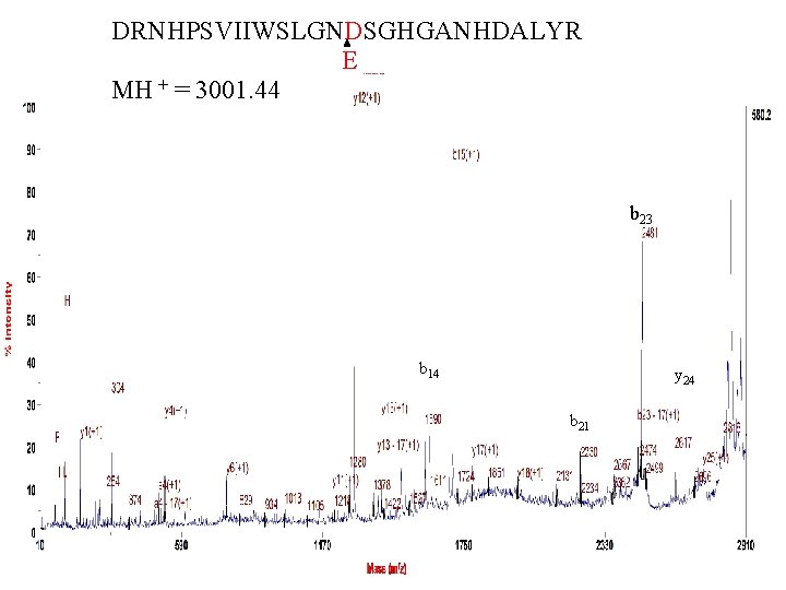 DRNHPSVIIWSLGNDSGHGANHDALYR E MH + = 3001. 44 b 23 b 14 y 24 b