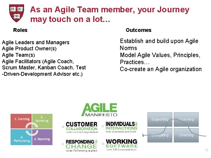 As an Agile Team member, your Journey may touch on a lot… Roles Agile