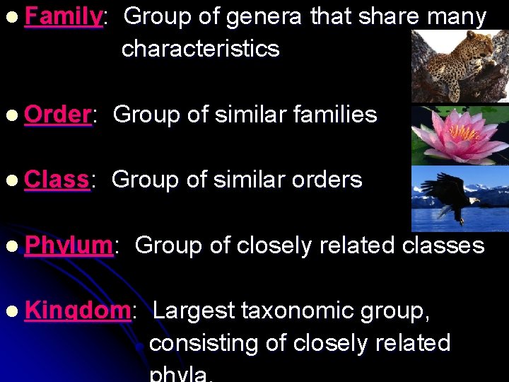 l Family: Group of genera that share many characteristics l Order: Group of similar l Family: Group of genera that share many characteristics l Order: Group of similar