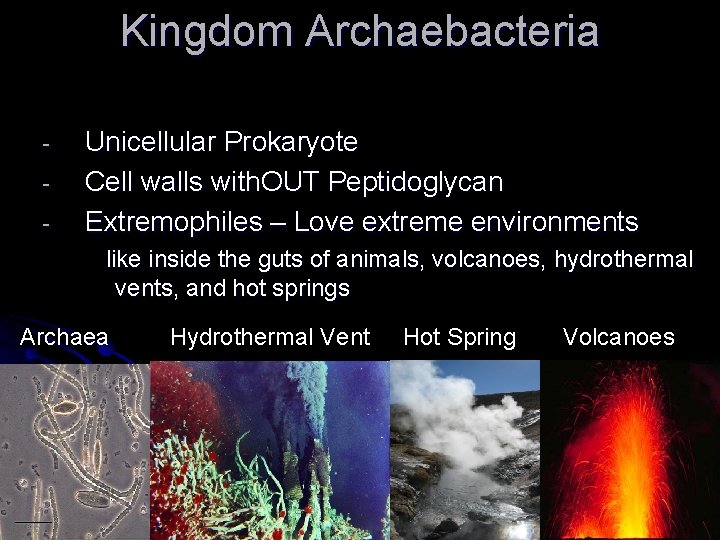 Kingdom Archaebacteria - Unicellular Prokaryote Cell walls with. OUT Peptidoglycan Extremophiles – Love extreme Kingdom Archaebacteria - Unicellular Prokaryote Cell walls with. OUT Peptidoglycan Extremophiles – Love extreme