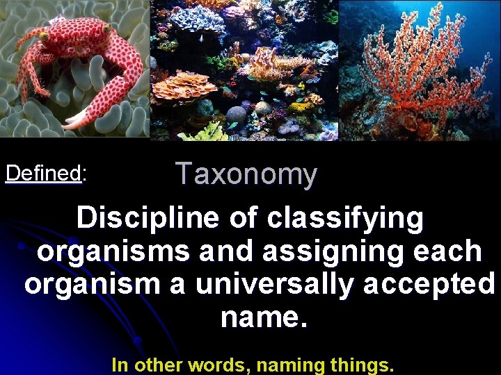 Taxonomy Discipline of classifying organisms and assigning each organism a universally accepted name. Defined: Taxonomy Discipline of classifying organisms and assigning each organism a universally accepted name. Defined: