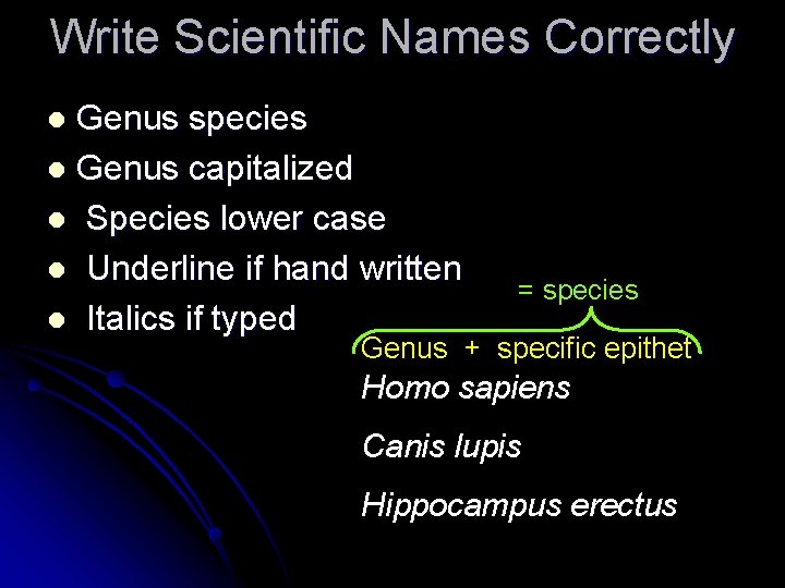 Write Scientific Names Correctly Genus species l Genus capitalized l Species lower case l Write Scientific Names Correctly Genus species l Genus capitalized l Species lower case l