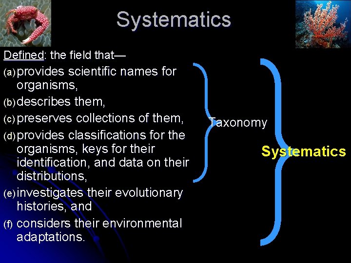 Systematics Defined: the field that— (a) provides scientific names for organisms, (b) describes them, Systematics Defined: the field that— (a) provides scientific names for organisms, (b) describes them,