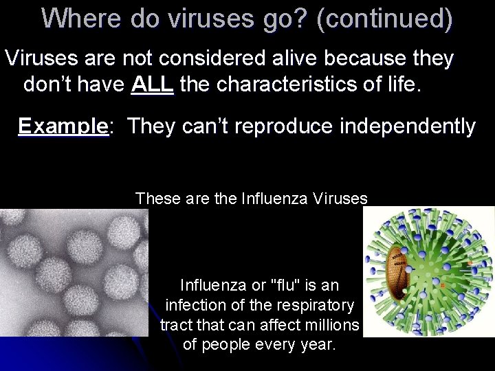 Where do viruses go? (continued) Viruses are not considered alive because they don’t have Where do viruses go? (continued) Viruses are not considered alive because they don’t have