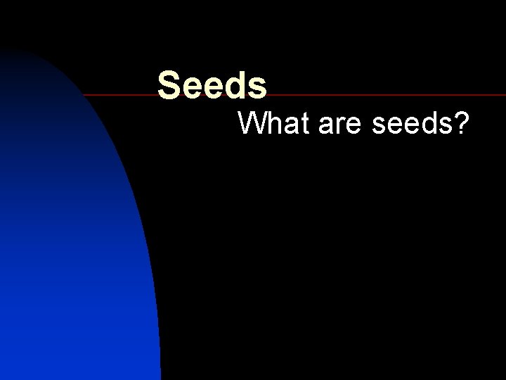 Seeds What are seeds? 