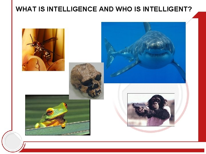 WHAT IS INTELLIGENCE AND WHO IS INTELLIGENT? 