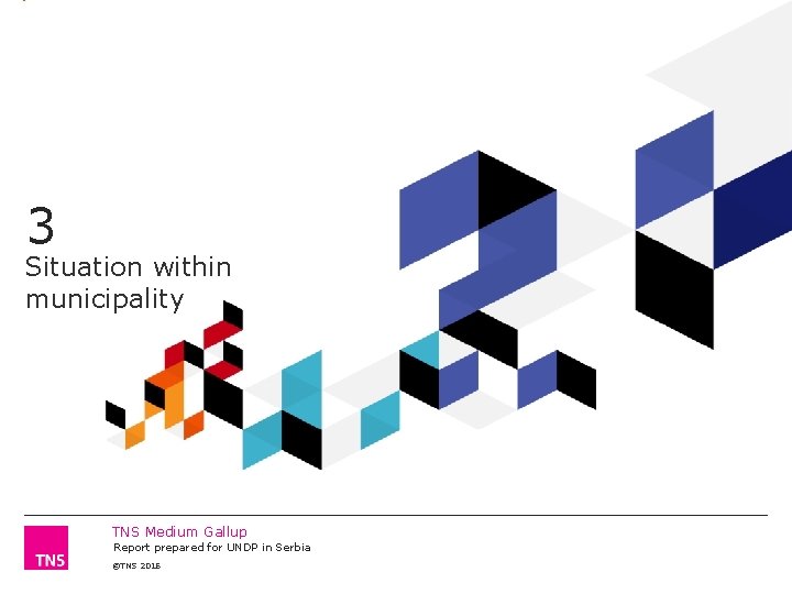 3 Situation within municipality TNS Medium Gallup Report prepared for UNDP in Serbia ©TNS