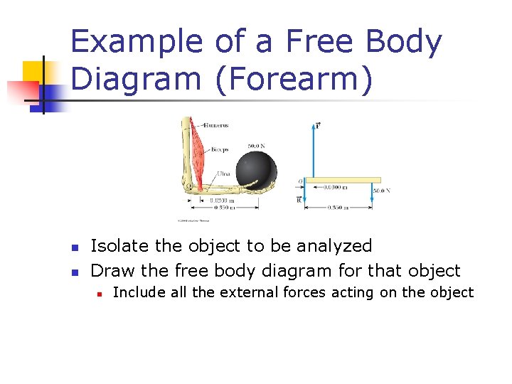 Example of a Free Body Diagram (Forearm) n n Isolate the object to be